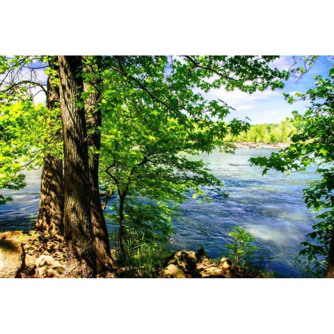 Spring On The River II Black Modern Wood Framed Art Print with Double Matting by Hausenflock, Alan