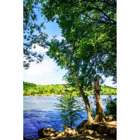 Spring On The River III Black Modern Wood Framed Art Print with Double Matting by Hausenflock, Alan