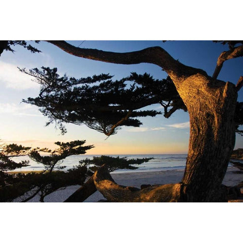 Carmel Sunset II White Modern Wood Framed Art Print by Hausenflock, Alan