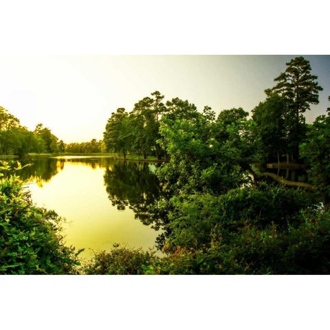 Sunrise On Green Lake I Gold Ornate Wood Framed Art Print with Double Matting by Hausenflock, Alan