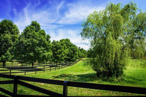 Green Springs Farm II Black Ornate Wood Framed Art Print with Double Matting by Hausenflock, Alan