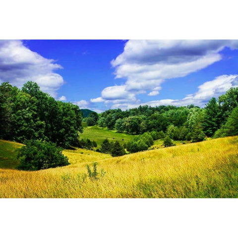 Rappahannock County IV Gold Ornate Wood Framed Art Print with Double Matting by Hausenflock, Alan