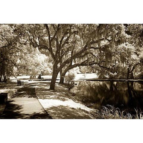 Walkers Pond I Black Modern Wood Framed Art Print with Double Matting by Hausenflock, Alan