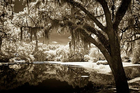 Walkers Pond II Black Ornate Wood Framed Art Print with Double Matting by Hausenflock, Alan