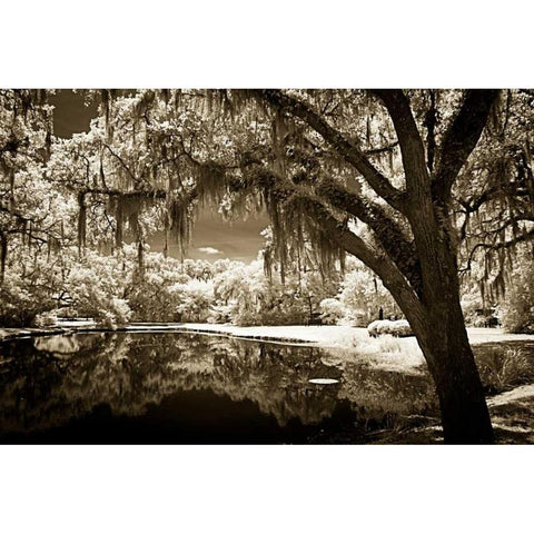Walkers Pond II White Modern Wood Framed Art Print by Hausenflock, Alan