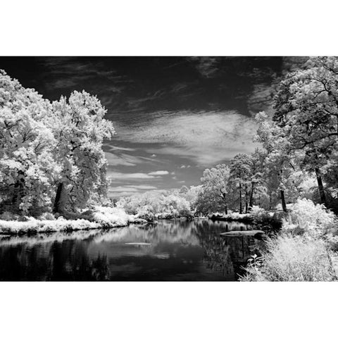 Bryan Lake I Black Modern Wood Framed Art Print with Double Matting by Hausenflock, Alan