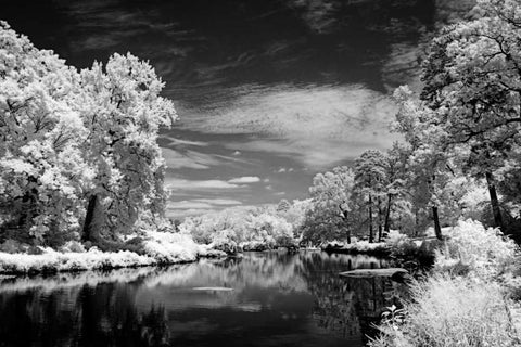 Bryan Lake I Black Ornate Wood Framed Art Print with Double Matting by Hausenflock, Alan