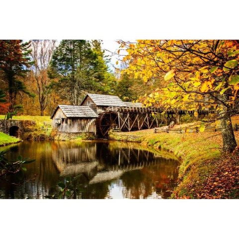 Mabry Mill I Gold Ornate Wood Framed Art Print with Double Matting by Hausenflock, Alan