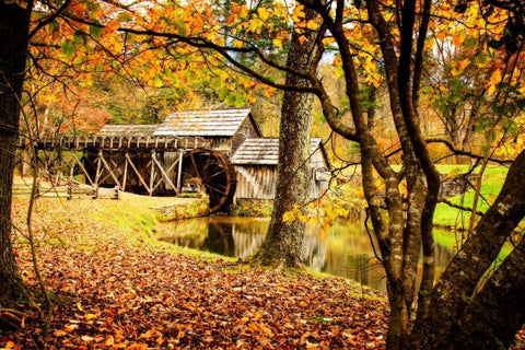 Mabry Mill II Black Ornate Wood Framed Art Print with Double Matting by Hausenflock, Alan