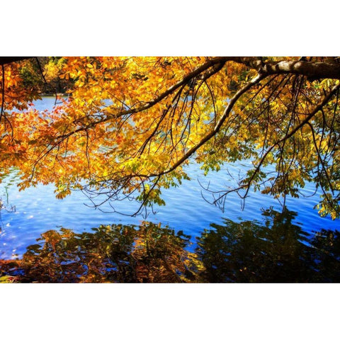 Autumn Reflections I Black Modern Wood Framed Art Print with Double Matting by Hausenflock, Alan