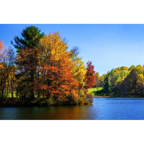 Peaks Of Otter Lake IV Gold Ornate Wood Framed Art Print with Double Matting by Hausenflock, Alan