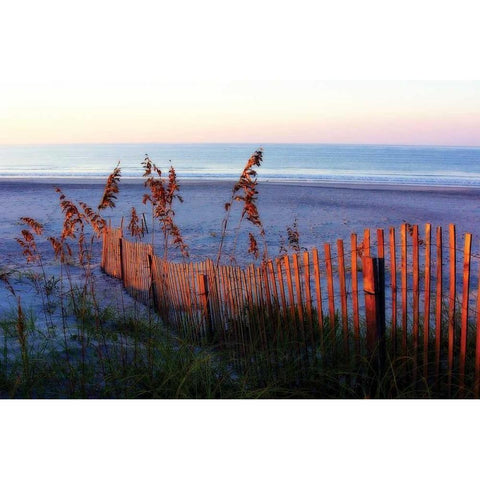 Sunrise in the Dunes Gold Ornate Wood Framed Art Print with Double Matting by Hausenflock, Alan