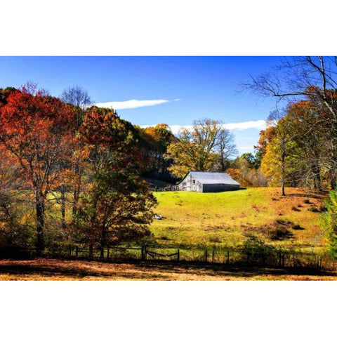 Weathered Barn Gold Ornate Wood Framed Art Print with Double Matting by Hausenflock, Alan
