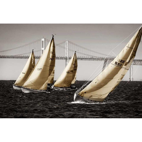 Heading Up I Gold Ornate Wood Framed Art Print with Double Matting by Hausenflock, Alan