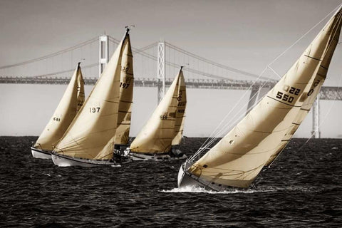 Heading Up I White Modern Wood Framed Art Print with Double Matting by Hausenflock, Alan