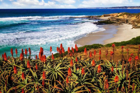 Point La Jolla I Black Ornate Wood Framed Art Print with Double Matting by Hausenflock, Alan