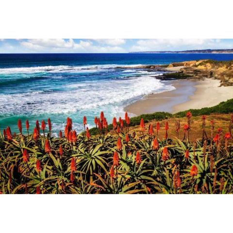 Point La Jolla I White Modern Wood Framed Art Print by Hausenflock, Alan