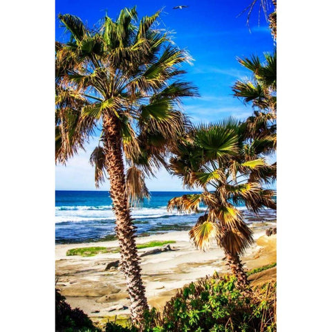 La Jolla Palms II Gold Ornate Wood Framed Art Print with Double Matting by Hausenflock, Alan