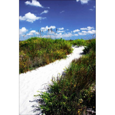 A Sandy Pathway II White Modern Wood Framed Art Print by Hausenflock, Alan