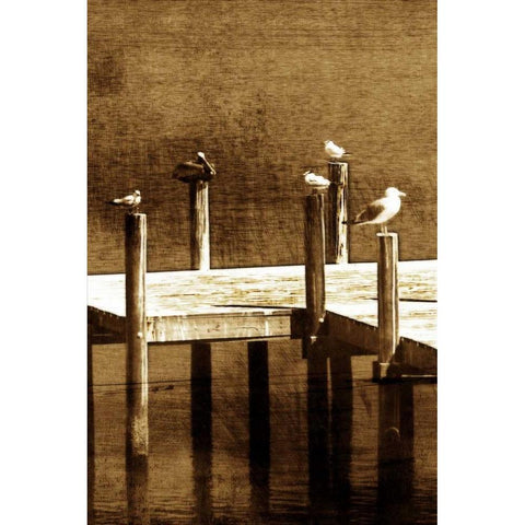 Sea Birds II White Modern Wood Framed Art Print by Hausenflock, Alan