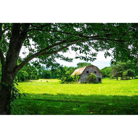 Old Dutch Barn Gold Ornate Wood Framed Art Print with Double Matting by Hausenflock, Alan