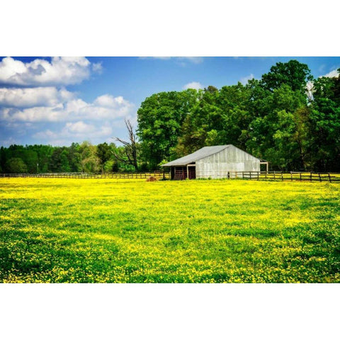 Spring Pasture I Black Modern Wood Framed Art Print with Double Matting by Hausenflock, Alan