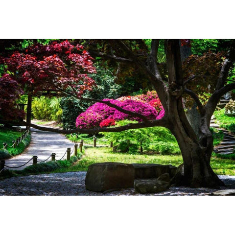 Japanese Garden III Gold Ornate Wood Framed Art Print with Double Matting by Hausenflock, Alan