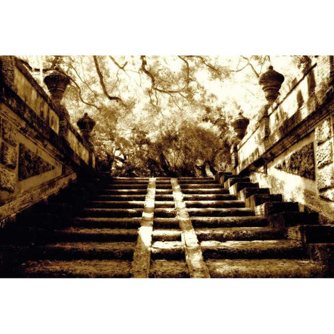 Vizcaya I White Modern Wood Framed Art Print by Hausenflock, Alan