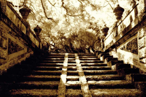 Vizcaya I Black Ornate Wood Framed Art Print with Double Matting by Hausenflock, Alan