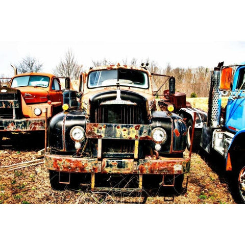 Truck Graveyard White Modern Wood Framed Art Print by Hausenflock, Alan