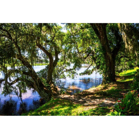 Ashley River Bank I Black Modern Wood Framed Art Print with Double Matting by Hausenflock, Alan