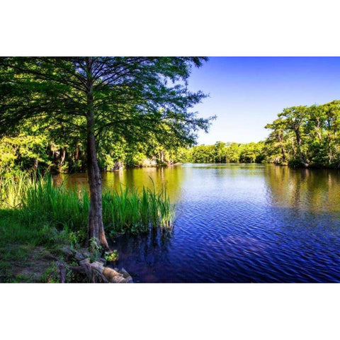 Waccamaw River White Modern Wood Framed Art Print by Hausenflock, Alan