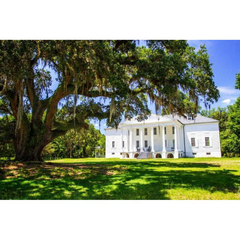 Hampton Plantation White Modern Wood Framed Art Print by Hausenflock, Alan