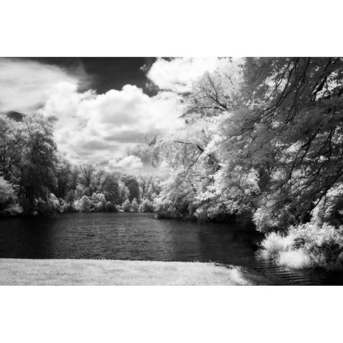 Stratford Pond II Black Modern Wood Framed Art Print with Double Matting by Hausenflock, Alan