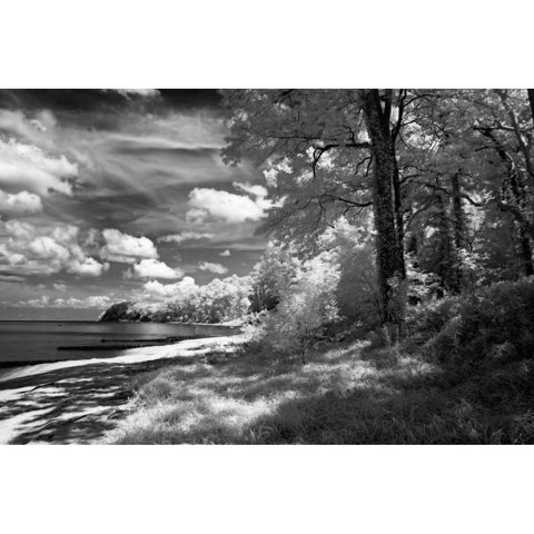 Tappahannock Shores II Black Modern Wood Framed Art Print with Double Matting by Hausenflock, Alan