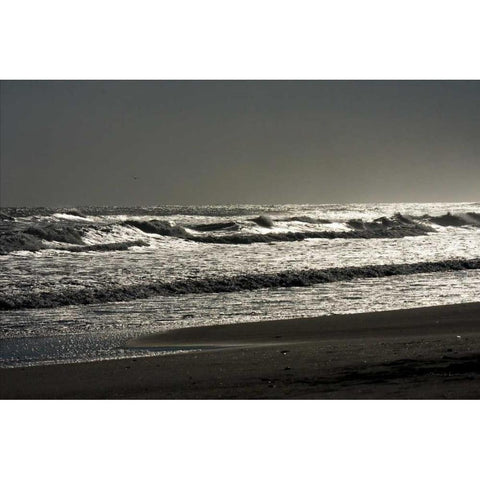 Silver Sea II Black Modern Wood Framed Art Print by Hausenflock, Alan