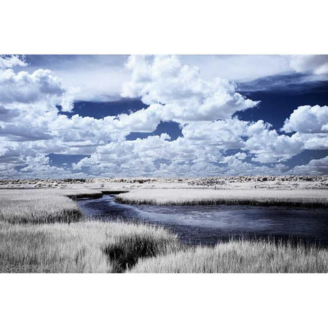 River in the Marsh I Black Modern Wood Framed Art Print with Double Matting by Hausenflock, Alan