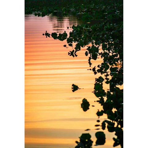 River at Twilight I White Modern Wood Framed Art Print by Hausenflock, Alan