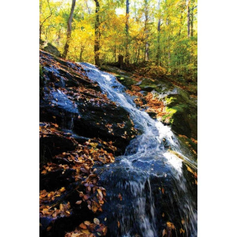 Autumn Waterfall I White Modern Wood Framed Art Print by Hausenflock, Alan