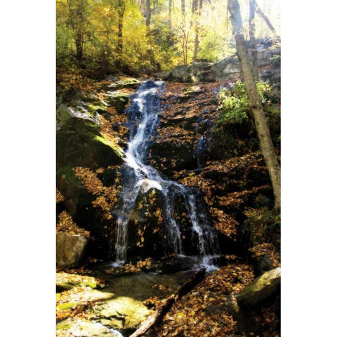 Autumn Waterfall II Black Modern Wood Framed Art Print with Double Matting by Hausenflock, Alan