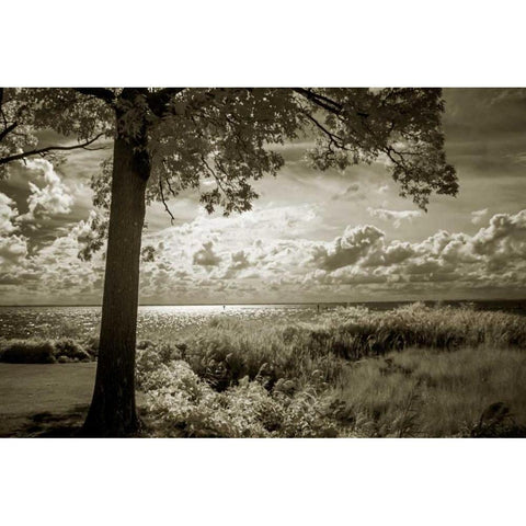 Cobb Island Afternoon I Black Modern Wood Framed Art Print with Double Matting by Hausenflock, Alan