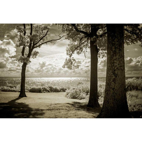 Cobb Island Afternoon II White Modern Wood Framed Art Print by Hausenflock, Alan