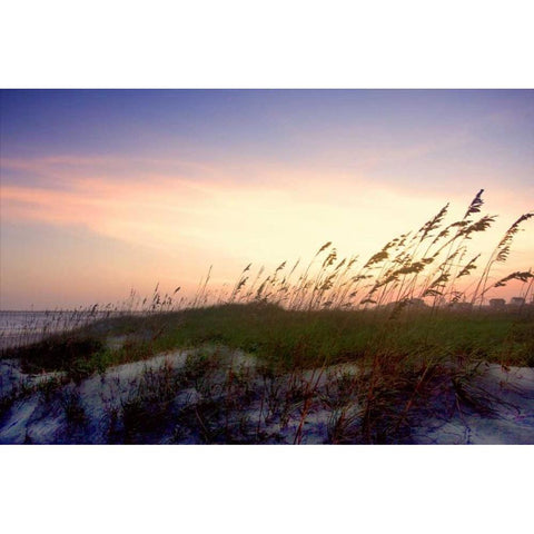 Rosey Sunset II White Modern Wood Framed Art Print by Hausenflock, Alan