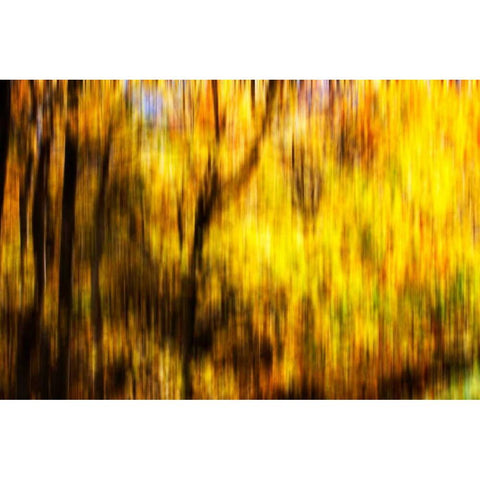 Autumn Impressions II Black Modern Wood Framed Art Print with Double Matting by Hausenflock, Alan