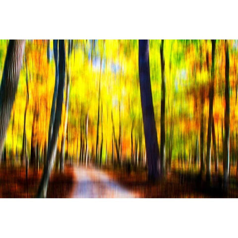 Autumn Impressions III White Modern Wood Framed Art Print by Hausenflock, Alan