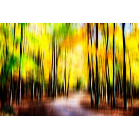 Autumn Impressions IV White Modern Wood Framed Art Print by Hausenflock, Alan