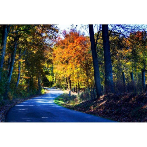 Twisting Autumn Road I White Modern Wood Framed Art Print by Hausenflock, Alan