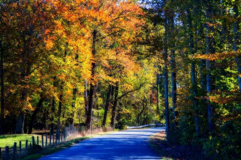 Twisting Autumn Road II White Modern Wood Framed Art Print with Double Matting by Hausenflock, Alan