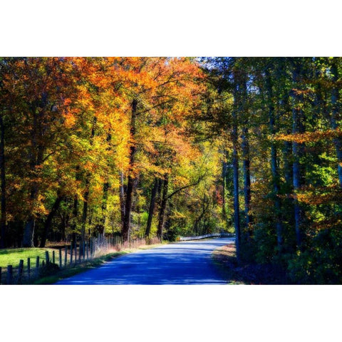 Twisting Autumn Road II Black Modern Wood Framed Art Print with Double Matting by Hausenflock, Alan