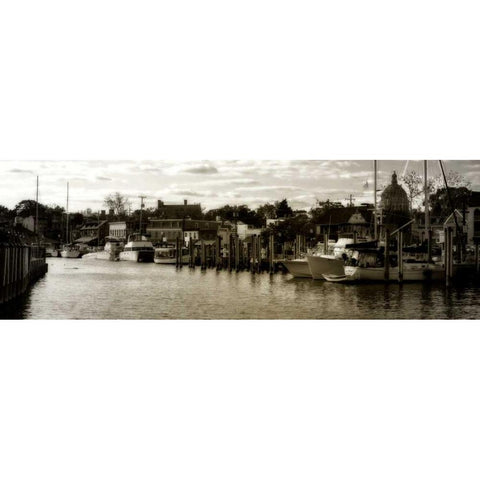 Annapolis Harbor Black Modern Wood Framed Art Print with Double Matting by Hausenflock, Alan